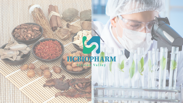 From Tradition to Innovation: How HCBIOPHARM Brings Dongui Bogam to Life